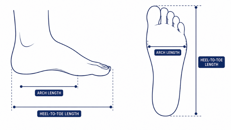 Diagram showing the difference between heel-to-toe length and arch length (heel-to-ball measurement) on a foot outline